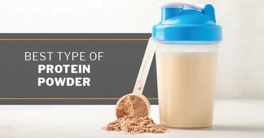 Protein Powder Guide: Whey, Casein and Plant Proteins — Which Is Best for Your Goals?